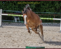 1-13JUIN 0912